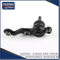 Rotule pour pièces de suspension Toyota Crown Jzs155 43330-39496